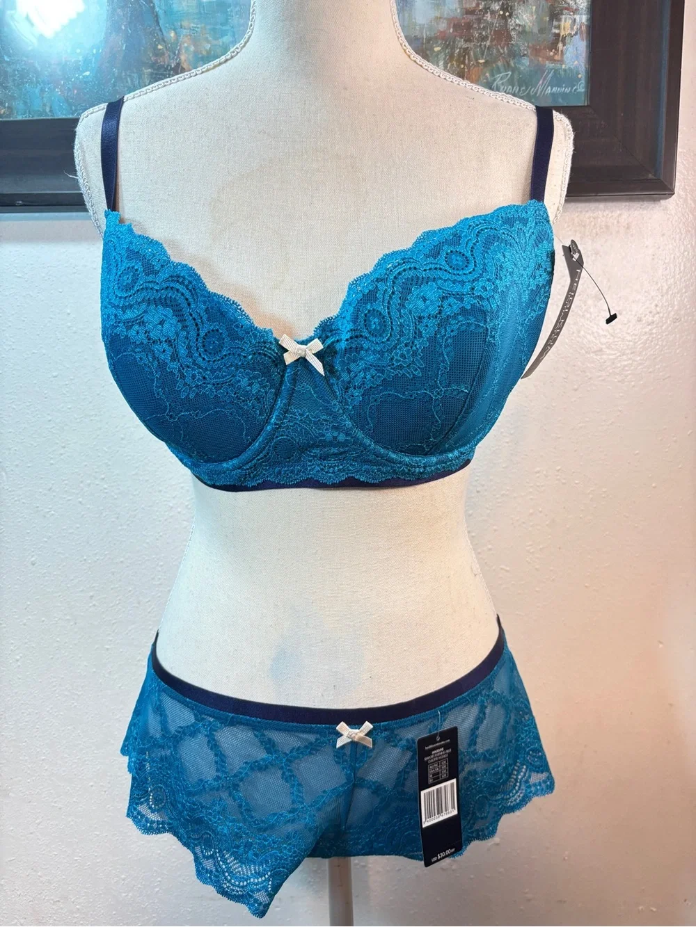 Teal Lace Underwire Bra & Lace Briefs - Supportive Women's Intimates
